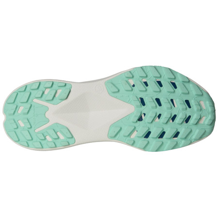 Zapatillas de carrera para mujer The North Face Altamesa 300