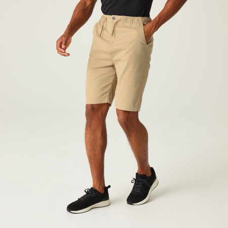 Pantalones cortos de hombre Regatta Aldan Short