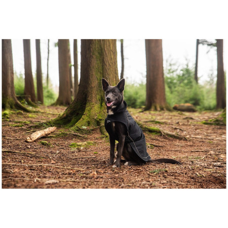 Impermeable para perro Mountain Paws Fleece-Lined Dog Raincoat