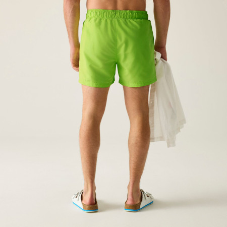 Bañador de hombre Regatta Mawson Swim Shorts III
