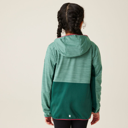Sudadera para niños Regatta Prenton III