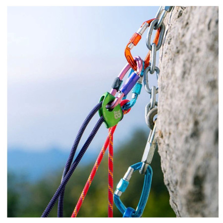 Elemento de amarre Beal Expresso fit