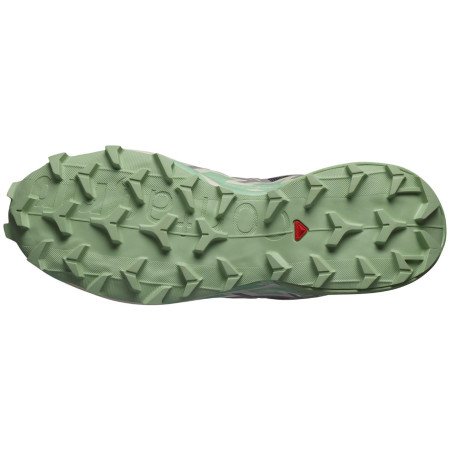 Zapatillas de carrera para mujer Salomon Speedcross 6