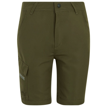 Pantalones para niños Regatta Sorcer Z/O Trousers III Treetop