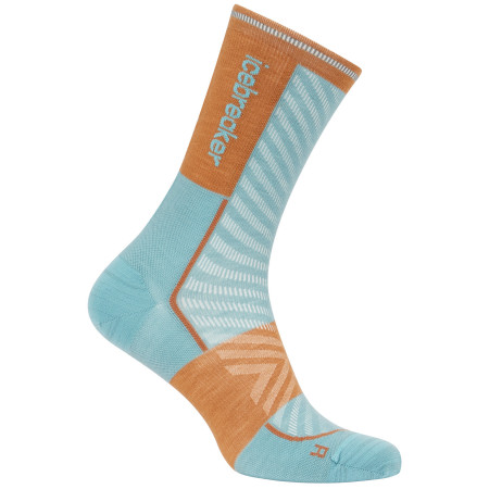 Calcetines de hombre Icebreaker Men Merino Run+ Ultralight Mini