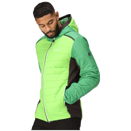 Chaqueta de hombre Regatta Trutton II