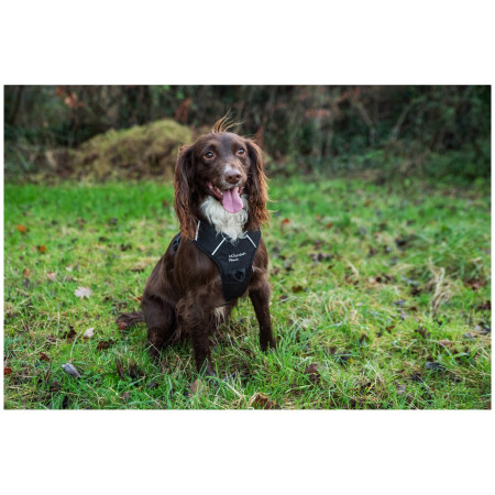 Arnés para perro Mountain Paws Dog Harness