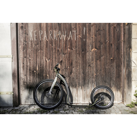 Patinete Yedoo Trexx Disc