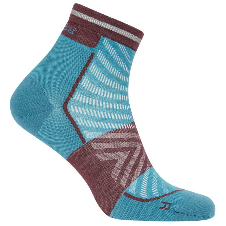 Calcetines de hombre Icebreaker Men Merino Run+ Ultralight Mini