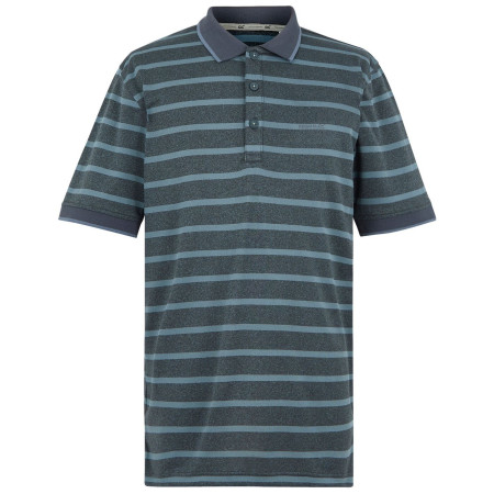 Camiseta de hombre Regatta Kildra gris StormyWeathr