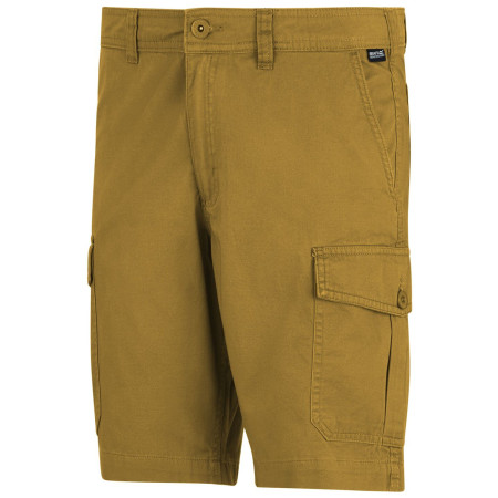 Pantalones cortos de hombre Regatta Ruwan Shorts