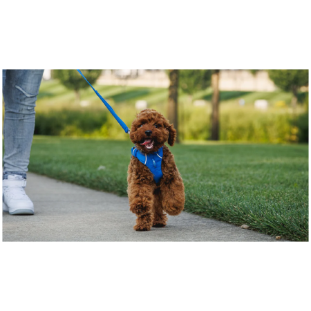 Correa para perro Ruffwear Front Range™ Leash