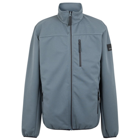 Chaqueta de hombre Regatta Romain gris claro StrmyWth/Ash