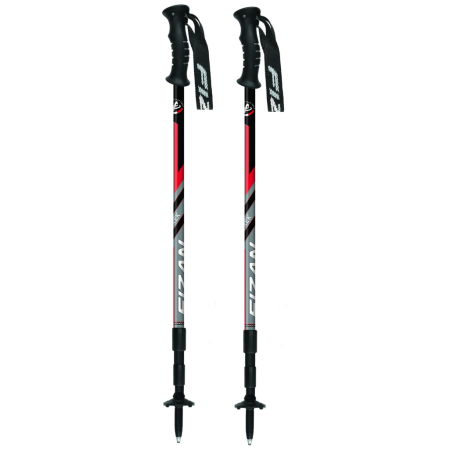 Bastones de senderismo Fizan Trek Antishock rojo Red