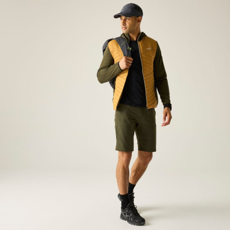 Chaqueta de hombre Regatta Andreson Marl Hybrid
