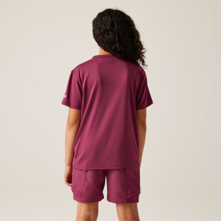 Camiseta para niños Regatta Alvarado IX