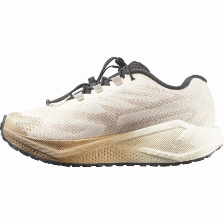 Zapatillas de carrera para mujer Salomon Aero Blaze 4 Grvl W