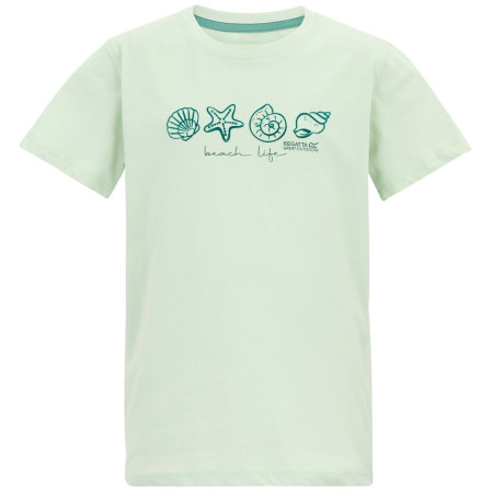 Camiseta para niños Regatta Bosley OceanMist verde claro OceanMist