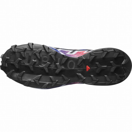 Calzado de hombre Salomon Speedcross 6 Gore-Tex Equipe