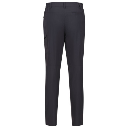 Pantalones de hombre Regatta Highton Trs Long