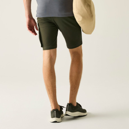 Pantalones cortos de hombre Regatta Bendrick Shorts