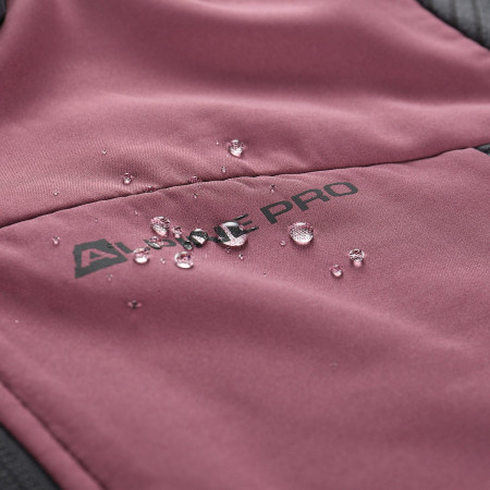 Sudadera funcional de mujer Alpine Pro Zolla