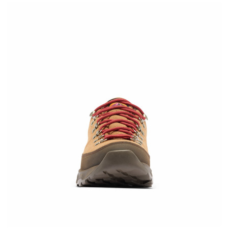 Calzado de hombre Columbia Newton Alpine™ Low