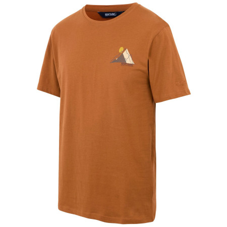 Camiseta de hombre Regatta Cline IX