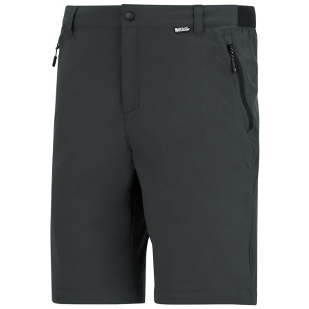 Pantalones de hombre Regatta Anti-Insect Travel Light Z/O Trousers