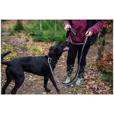 Correa con amortiguador Mountain Paws Shock Absorber Dog Lead