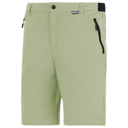 Pantalones de hombre Regatta Anti-Insect Travel Light Z/O Trousers
