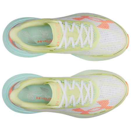 Calzado de hombre Under Armour Velociti Distance