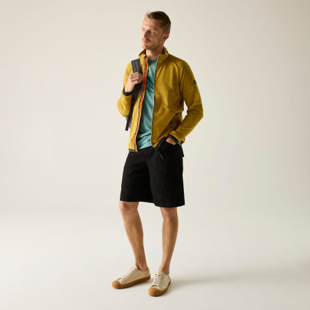 Sudadera de hombre Regatta Malton