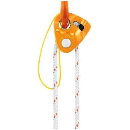 Polea Petzl Nano Traxion