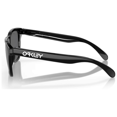 Gafas de sol OAKLEY Frogskin Grey