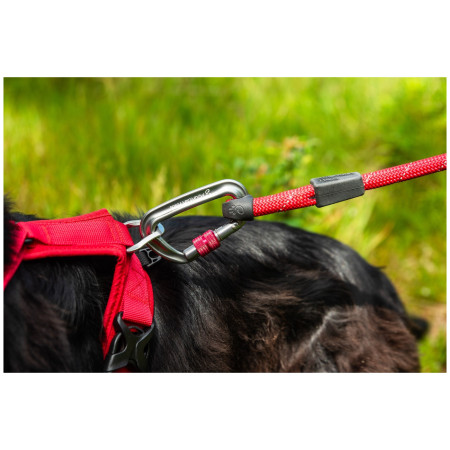 Correa para perro Mountain Paws Rope Dog Lead