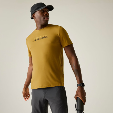 Camiseta de hombre Regatta Fingal Stretch