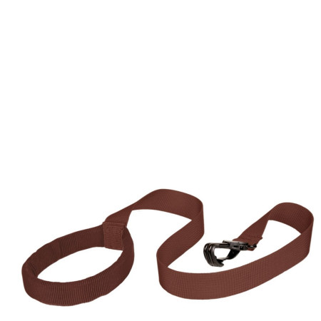 Mochila para niños LittleLife Toddler Backpack - Dinosaur