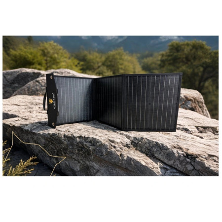 Panel solar Viking Technology Viking L60 PD