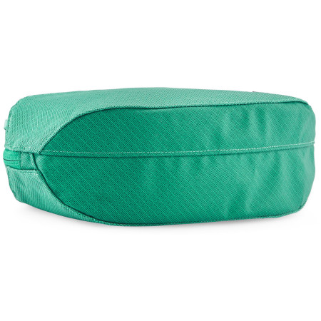 Funda de viaje Patagonia Black Hole Cube 3L