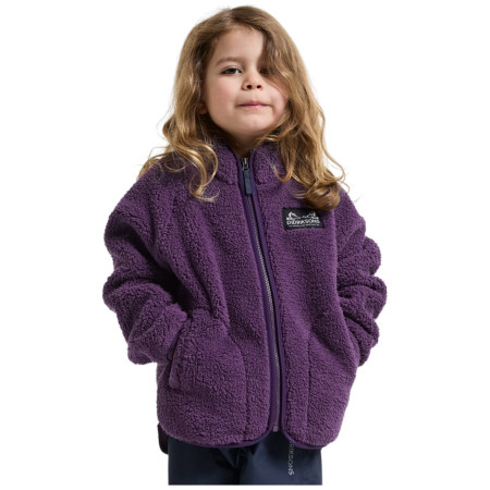 Sudadera para niños Didriksons Gibbs Kids Fullzip 2 Northen Purple