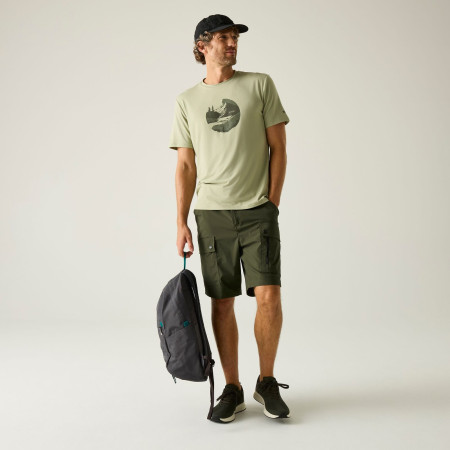 Pantalones cortos de hombre Regatta Arlery Shorts