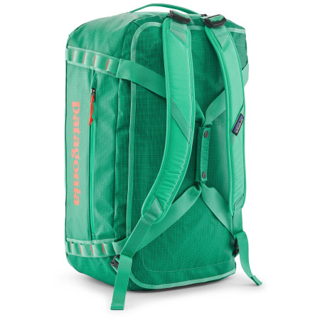 Bolsa de viaje Patagonia Black Hole Duffel 55L