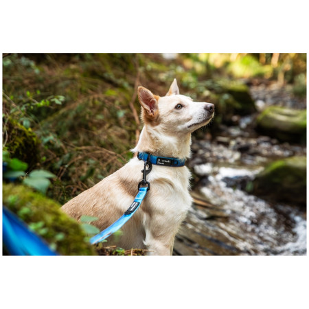 Collar para perro Mountain Paws Waterproof Dog Collar