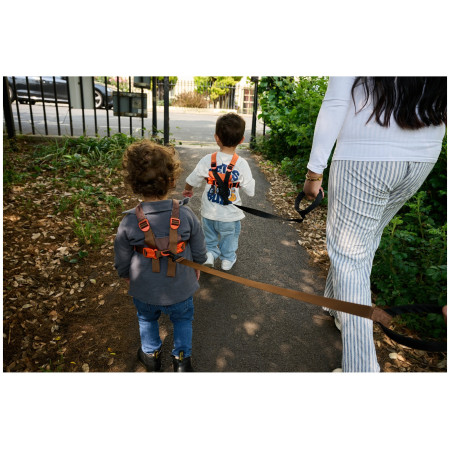 Correa para niños LittleLife Toddler Reins Dinosaur