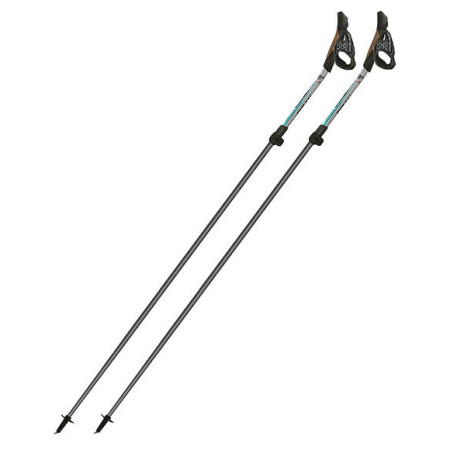 Bastones de caminata nórdica Fizan NW Carbon Pro Impulse