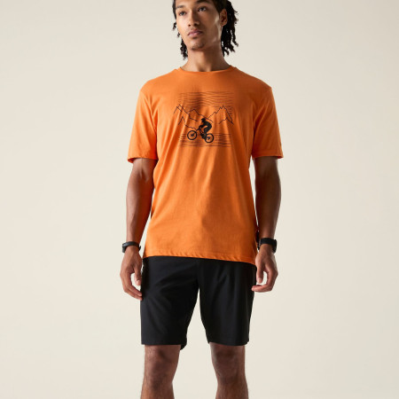 Pantalones cortos de hombre Dare 2b Torrek Lite Short