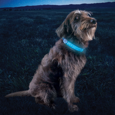 Collar luminoso para perro Nite Ize NiteDog® Rechargeable LED Collar Cover