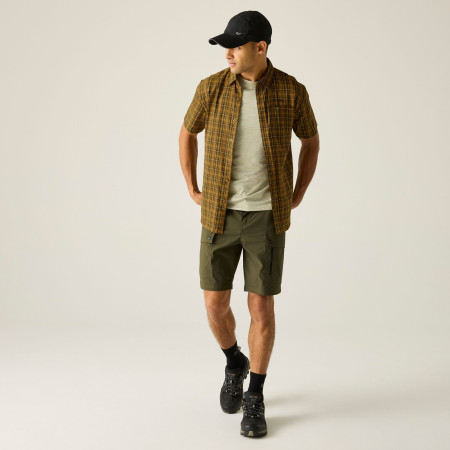 Camisa de hombre Regatta Begarno