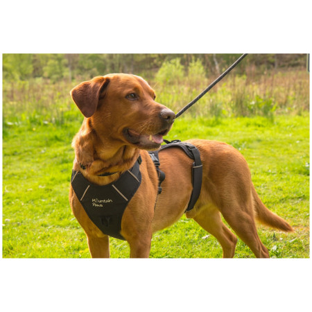 Arnés para perro Mountain Paws 3-Strap Dog Harness